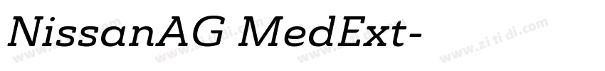 NissanAG MedExt字体转换